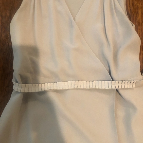 Naked Zebra Dress - Picture 11 of 11